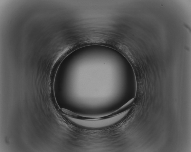 X0000091940395200709191424