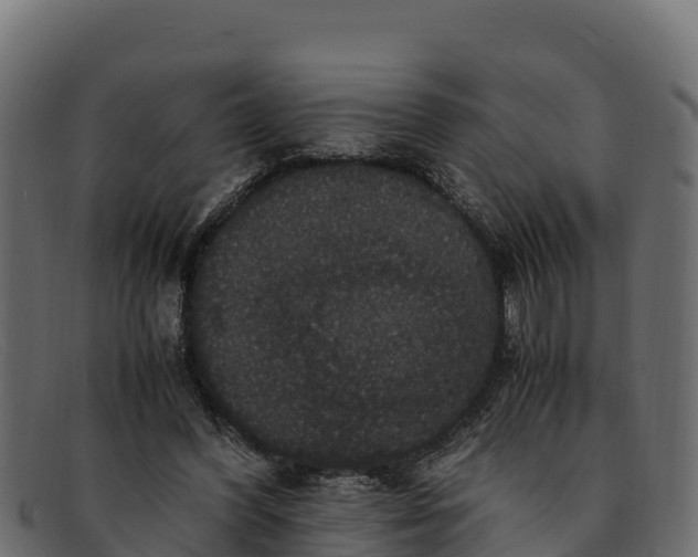 X0000091940396200709191424