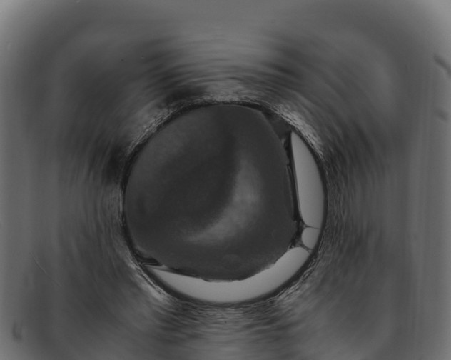 X0000091940397200709191424