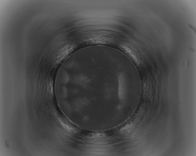 X0000091940398200709191424