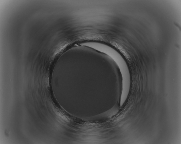 X0000091940399200709191424