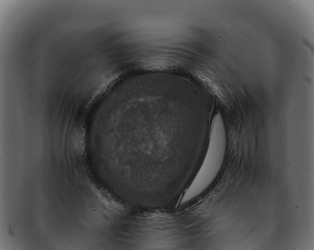 X0000091940400200709191424