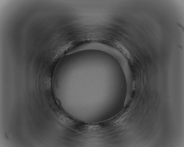 X0000091940401200709191424