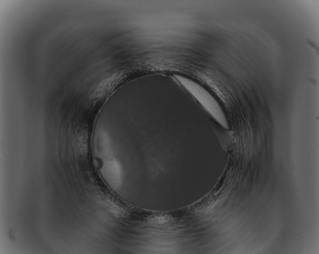 X0000091940402200709191424