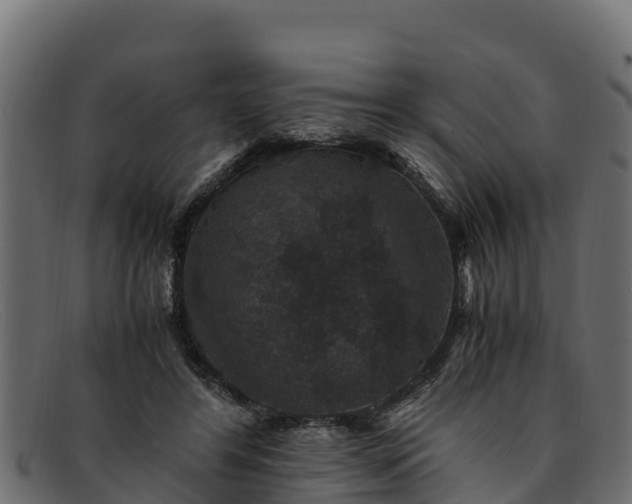 X0000091940404200709191424