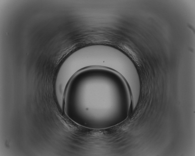 X0000091940405200709191424