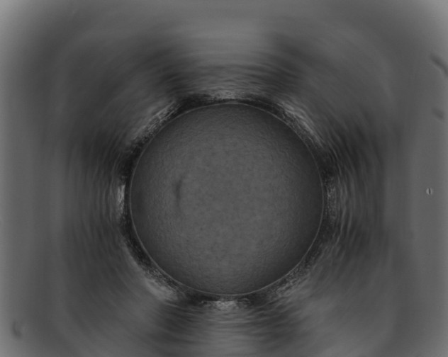 X0000091940406200709191424