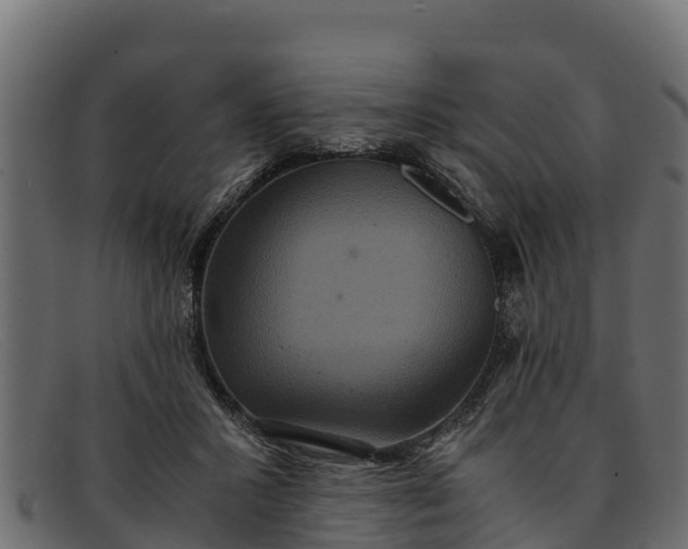 X0000091940407200709191424