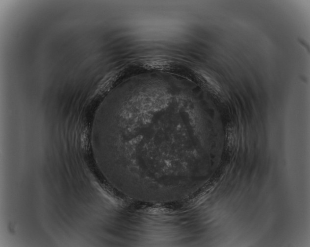 X0000091940408200709191424