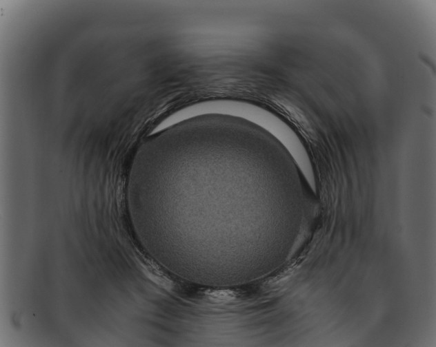 X0000091940409200709191424