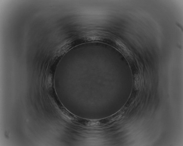 X0000091940410200709191424