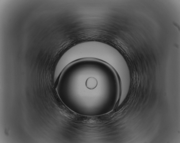 X0000091940412200709191424