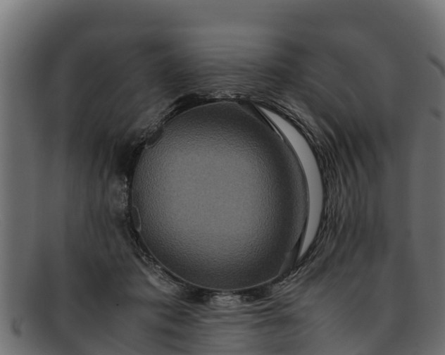 X0000091940413200709191424