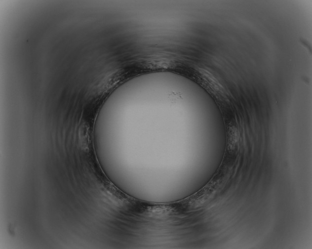 X0000091940414200709191424