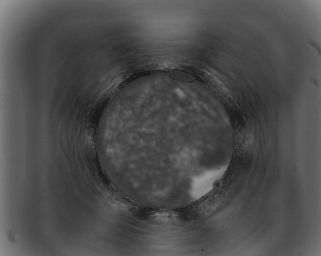 X0000091940415200709191424