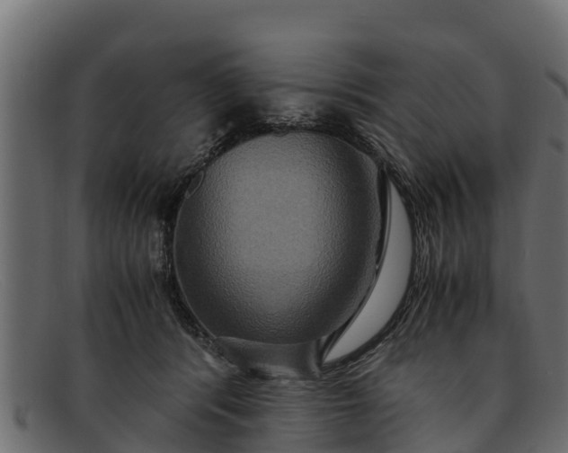 X0000091940416200709191424