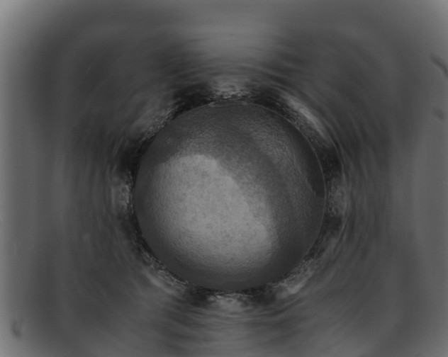 X0000091940417200709191424