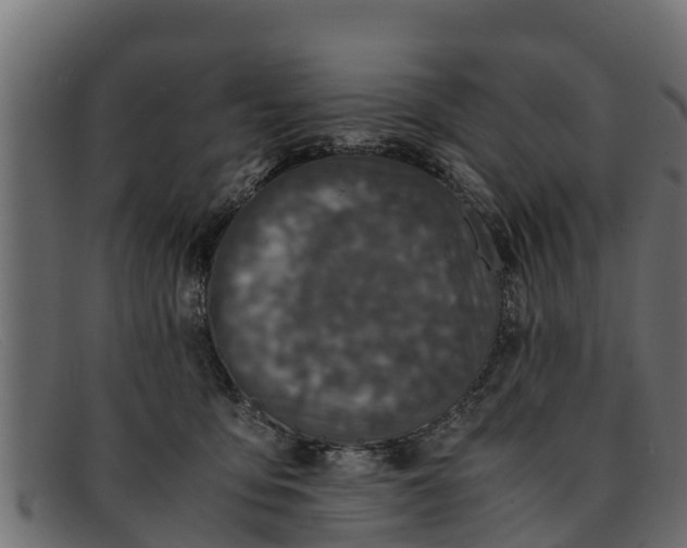 X0000091940419200709191424