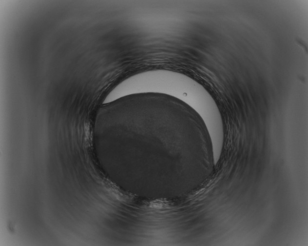 X0000091940420200709191424