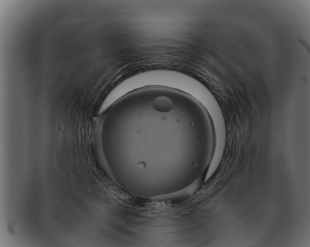 X0000091940421200709191424