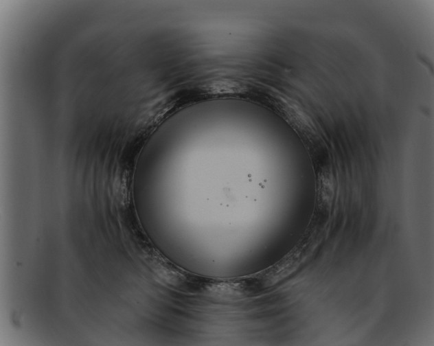 X0000091940422200709191424