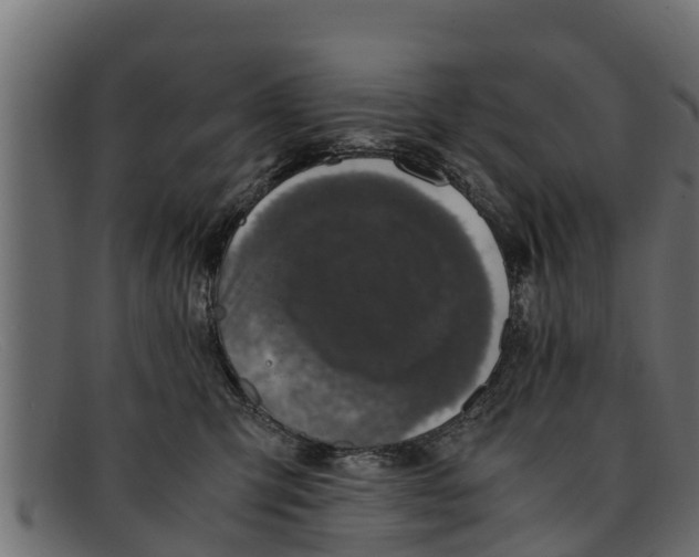 X0000091940423200709191424