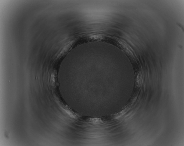 X0000091940424200709191423