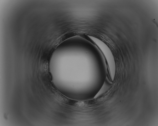 X0000091940425200709191423