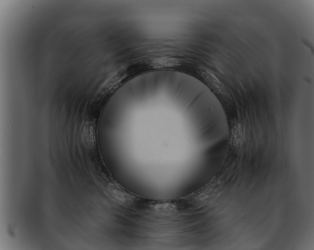 X0000091940426200709191423