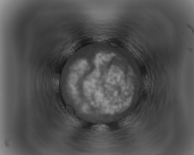 X0000091940427200709191423