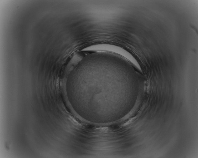 X0000091940428200709191423