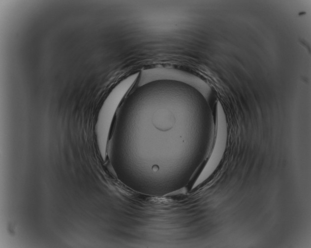 X0000091940429200709191423