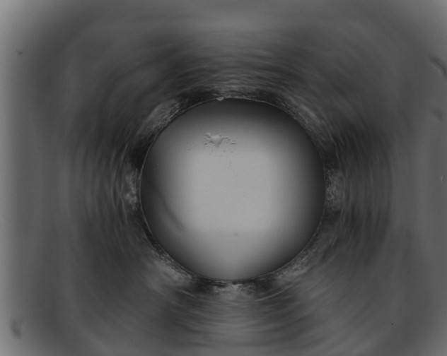 X0000091940430200709191423