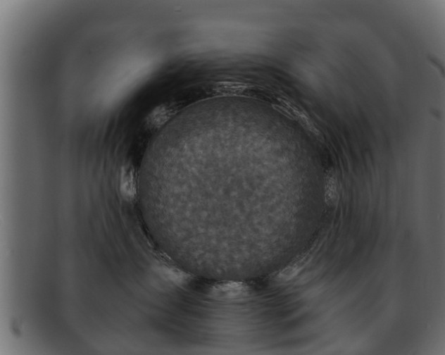 X0000091940431200709191423