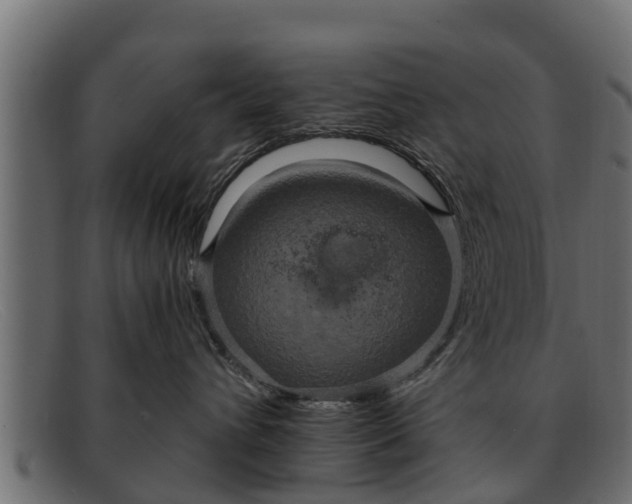 X0000091940432200709191423