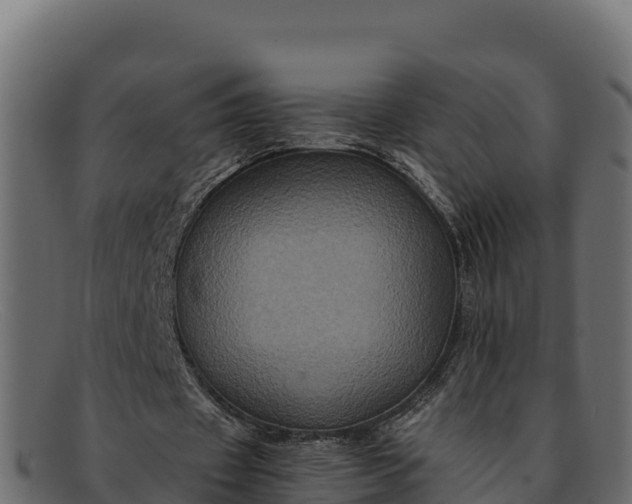 X0000091940433200709191423