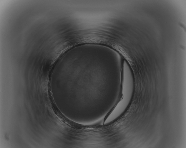 X0000091940434200709191423