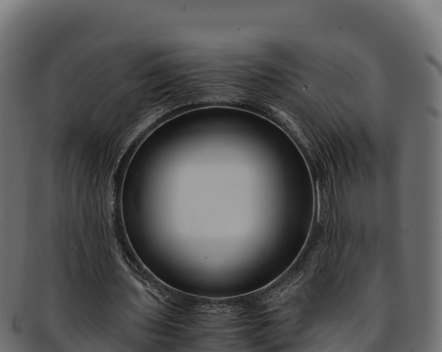 X0000091940435200709191423