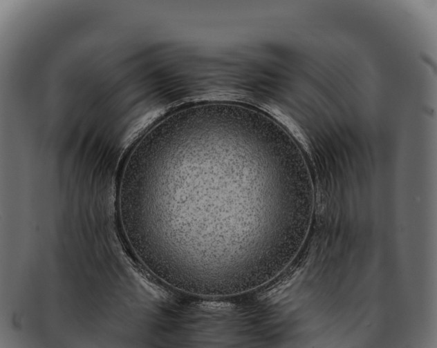 X0000091940437200709191423