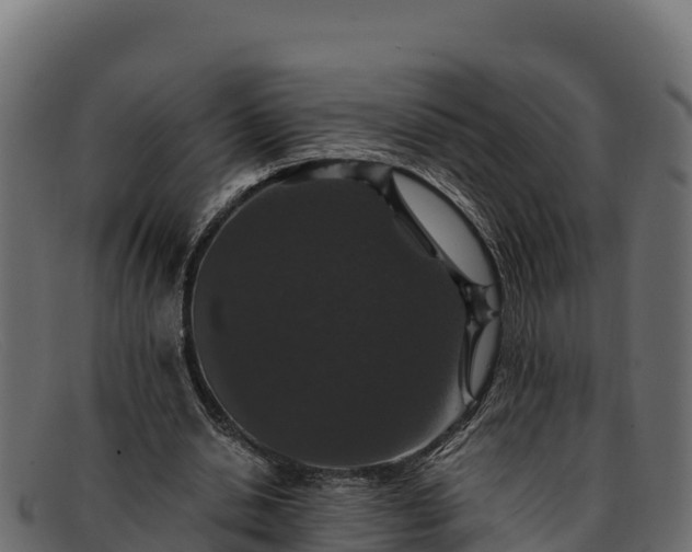 X0000091940438200709191423