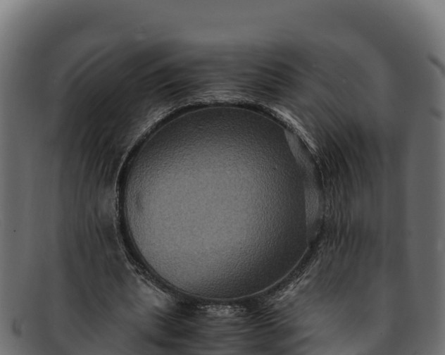 X0000091940439200709191423