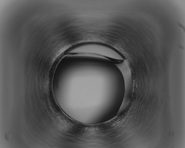 X0000091940440200709191423