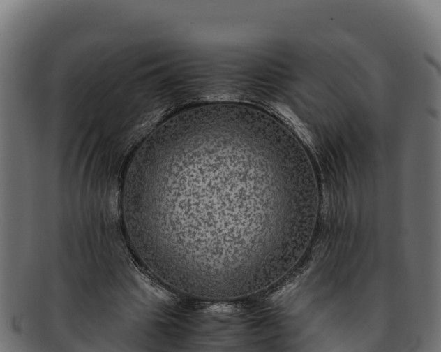 X0000091940441200709191423