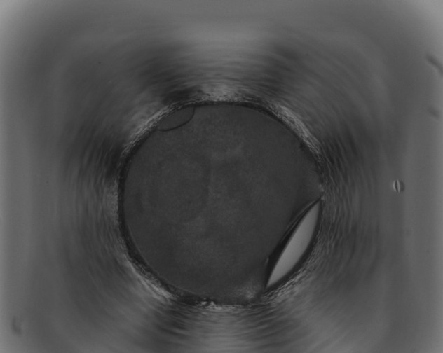 X0000091940442200709191423