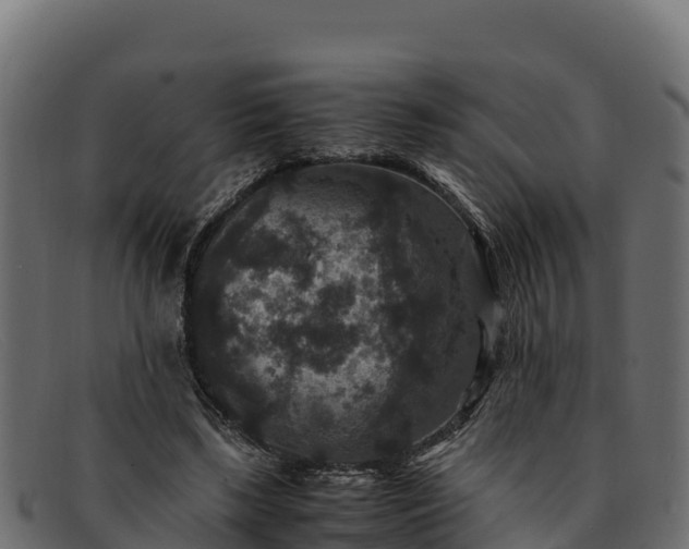 X0000091940443200709191423