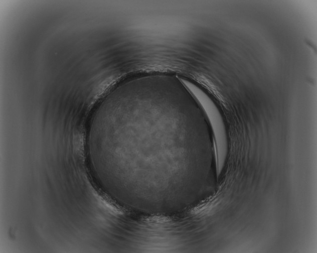 X0000091940444200709191423