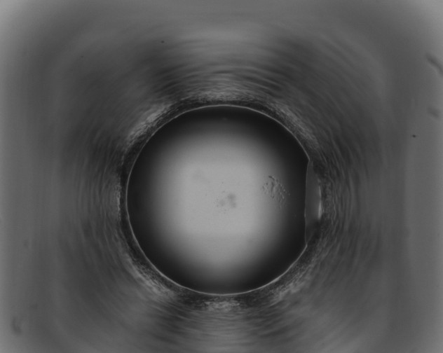 X0000091940446200709191423