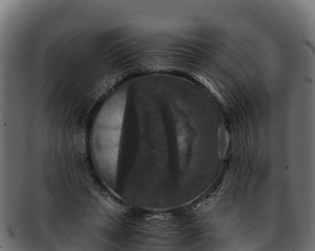 X0000091940447200709191423