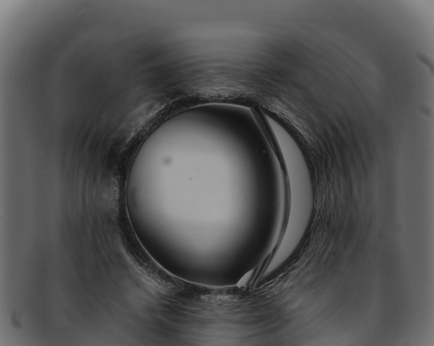 X0000091940448200709191423