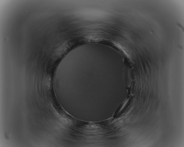 X0000091940451200709191423